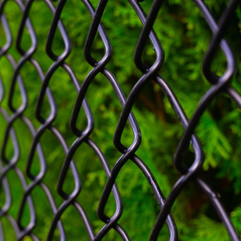 PVC Coated Chain Link Fencing